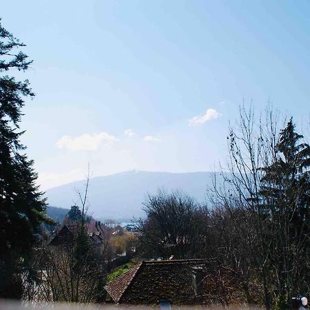 מנטון סן ברנרד Maison 3 Chambres Au Lac D'Annecy, 30Min La Clusaz מראה חיצוני תמונה
