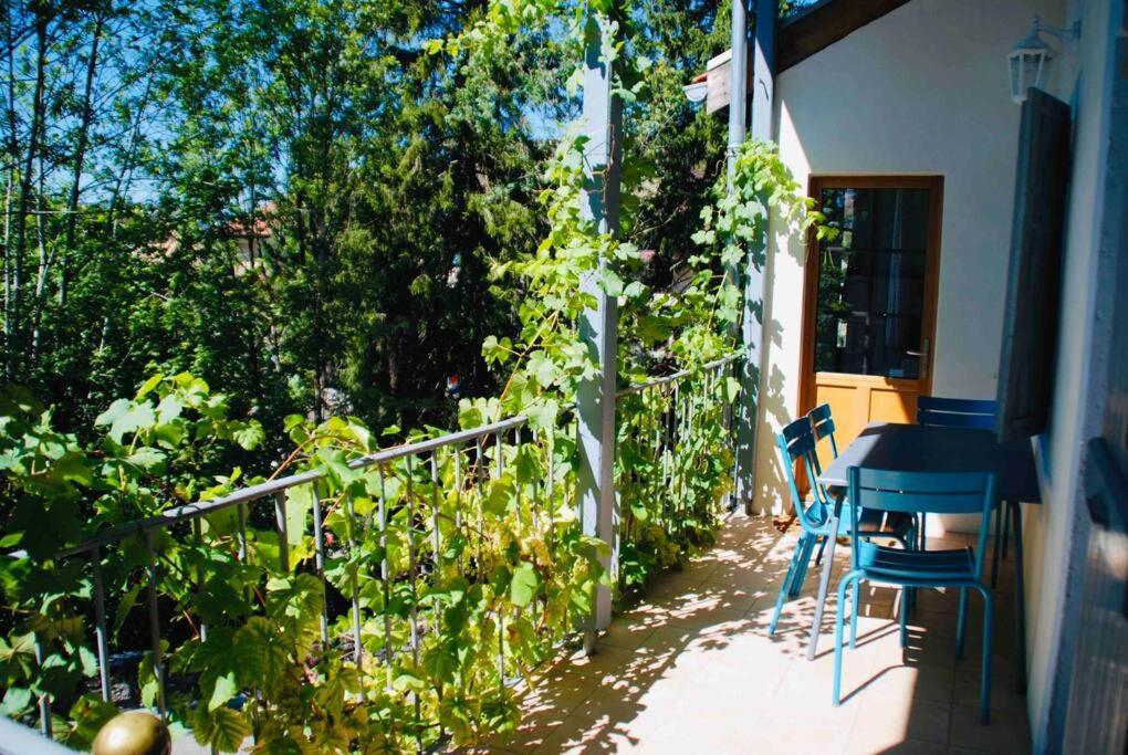 מנטון סן ברנרד Maison 3 Chambres Au Lac D'Annecy, 30Min La Clusaz מראה חיצוני תמונה